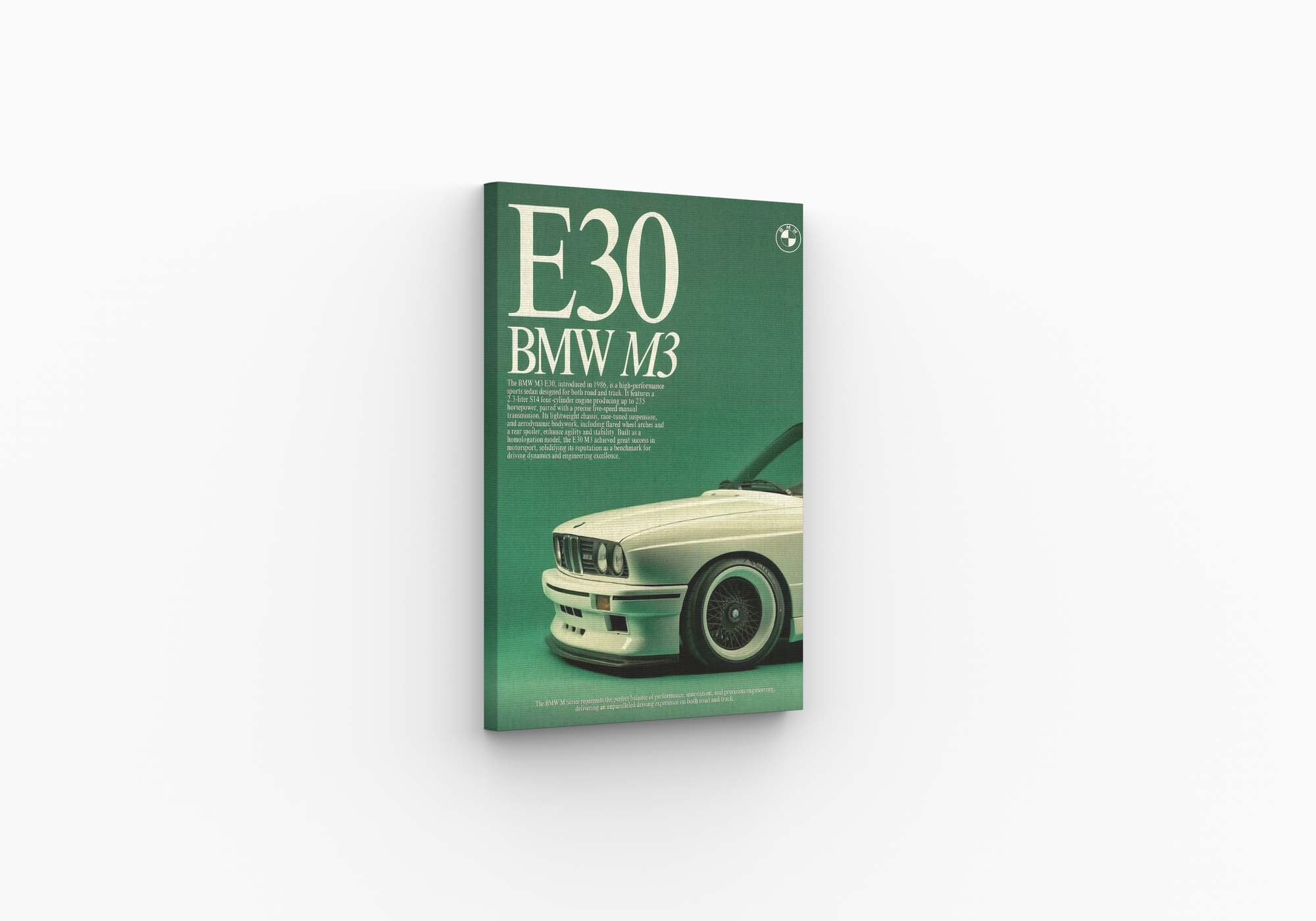 BMW M3 E30 - Retro Racing Pedigree
